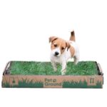 PetGround Standard