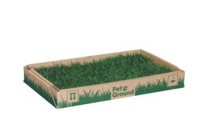 Suscripción PetGround Gatos - Imagen 3