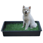 Pack PetGround XXL