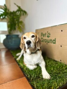 Pack PetGround XL - Imagen 6