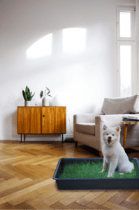 Pack PetGround XXL - Imagen 5