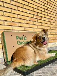 Pack PetGround XL - Imagen 7