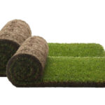 S'abonner  PetGround XXL