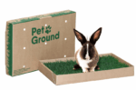 Suscripción PetGround Conejos - Imagen 6