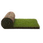 Recambio de Césped Natural