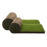 Recambio - PetGround XXL