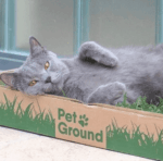 Suscripción PetGround Gatos - Imagen 4
