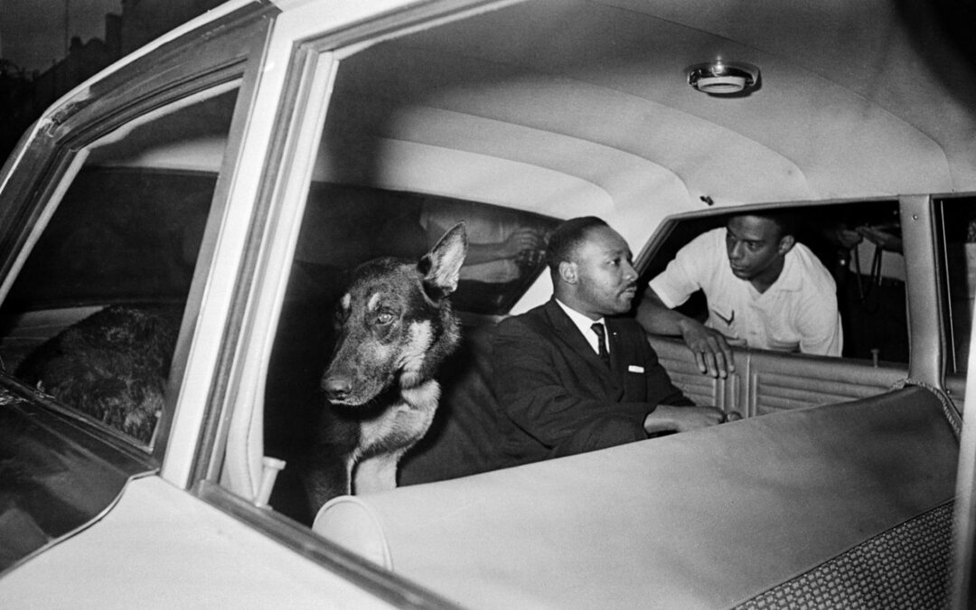 Martin Luther King y los animales