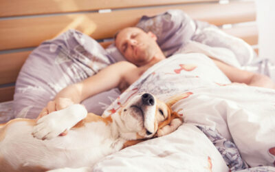 ¿Tu perro duerme a tu lado?