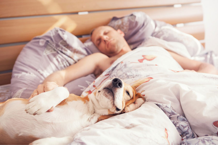 ¿Tu perro duerme a tu lado?