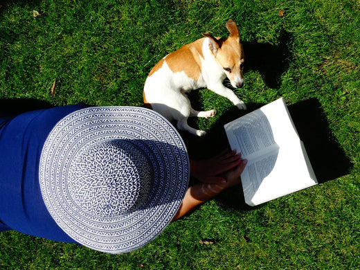 Cuidar de tu mascota en verano