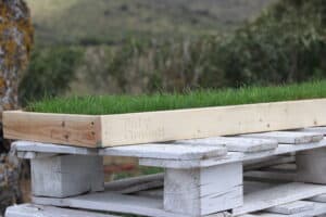 Cajas de Madera - Imagen 5