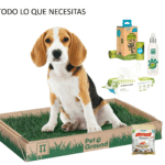 Personaliza tu PetGround