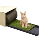Cama de césped natural para gatos