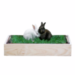 Suscripción PetGround Conejos