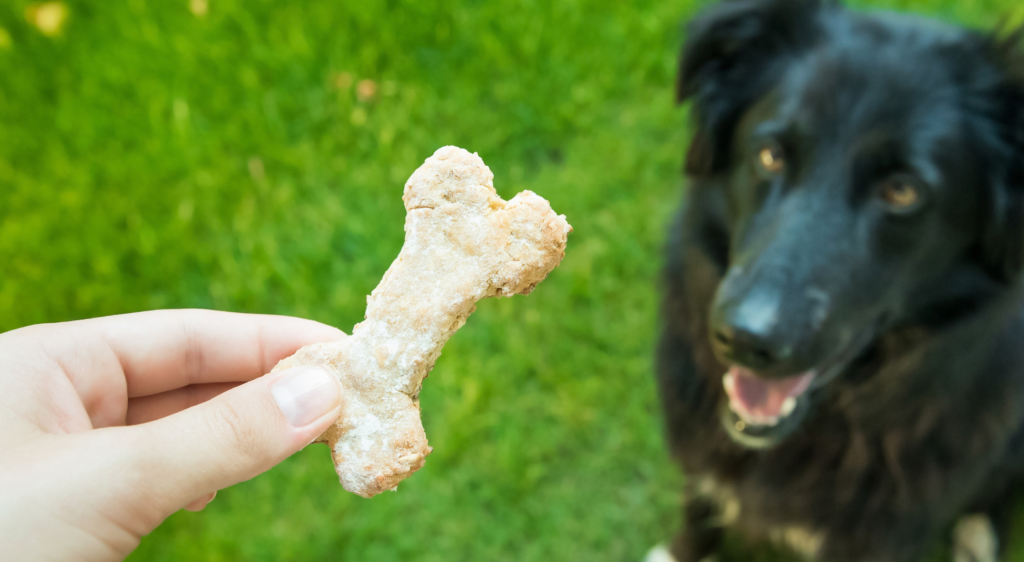 Perro con galleta