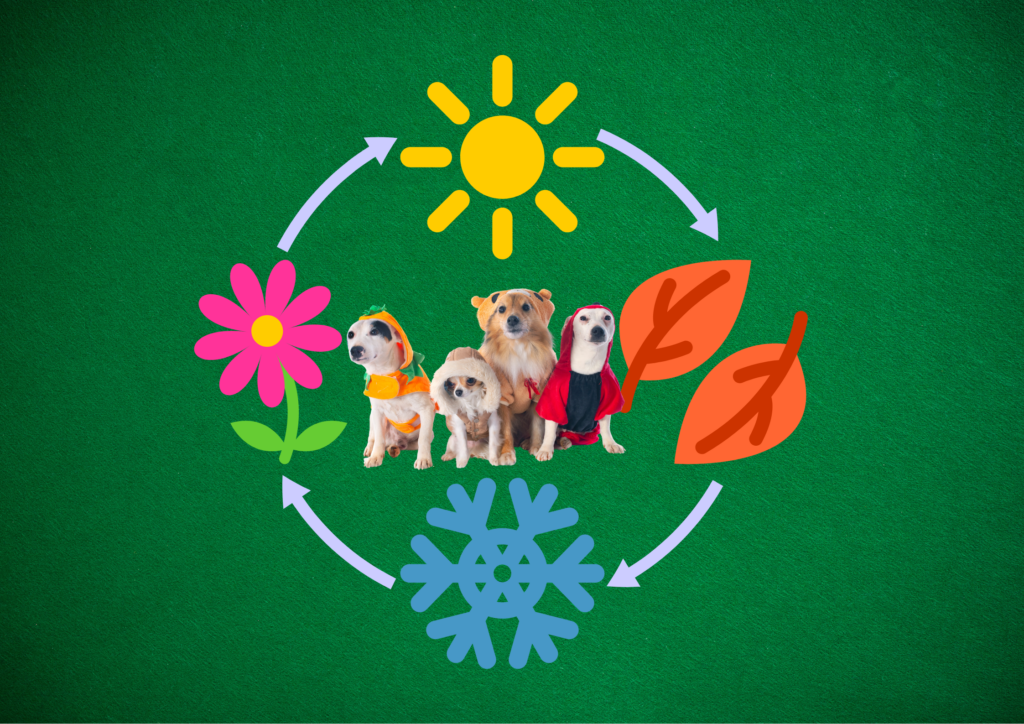 Clima canino