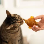 Premio Rub Stick Dental de Pollo para Gatitos 100G - Imagen 2