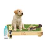 Kit completo para cachorros